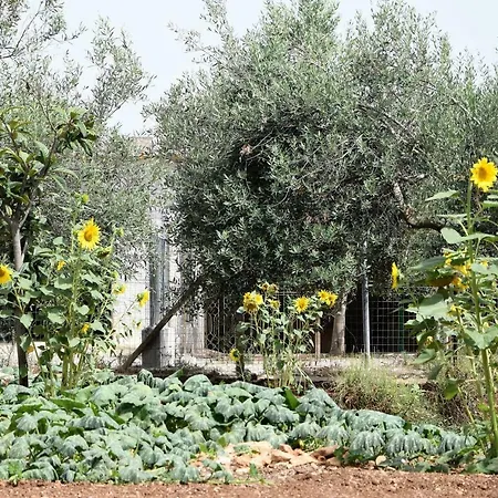 Casa Le Gebbie Villa Marzamemi Exterior photo