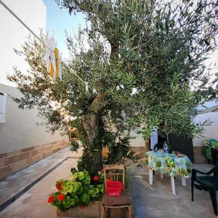 Casa Le Gebbie Holiday home Marzamemi