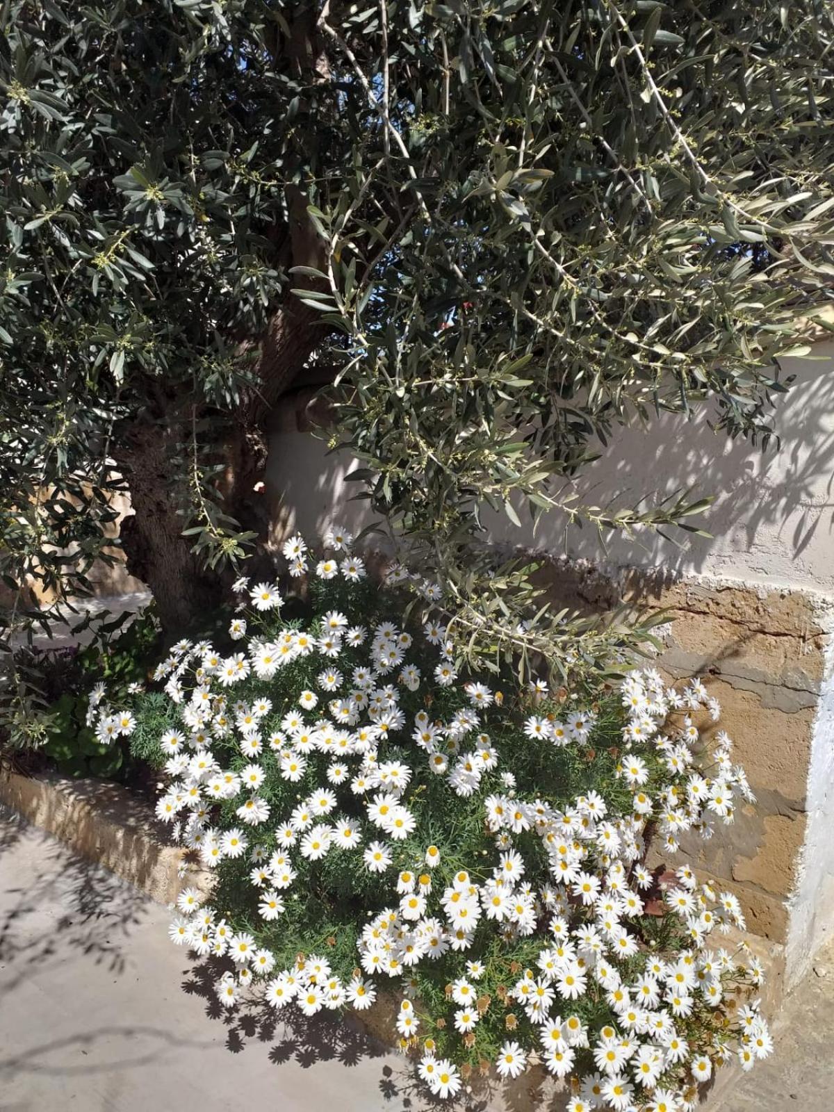 Casa Le Gebbie Holiday home *