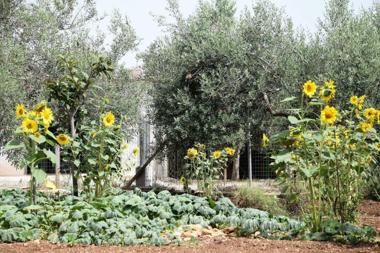 Holiday home Casa Le Gebbie