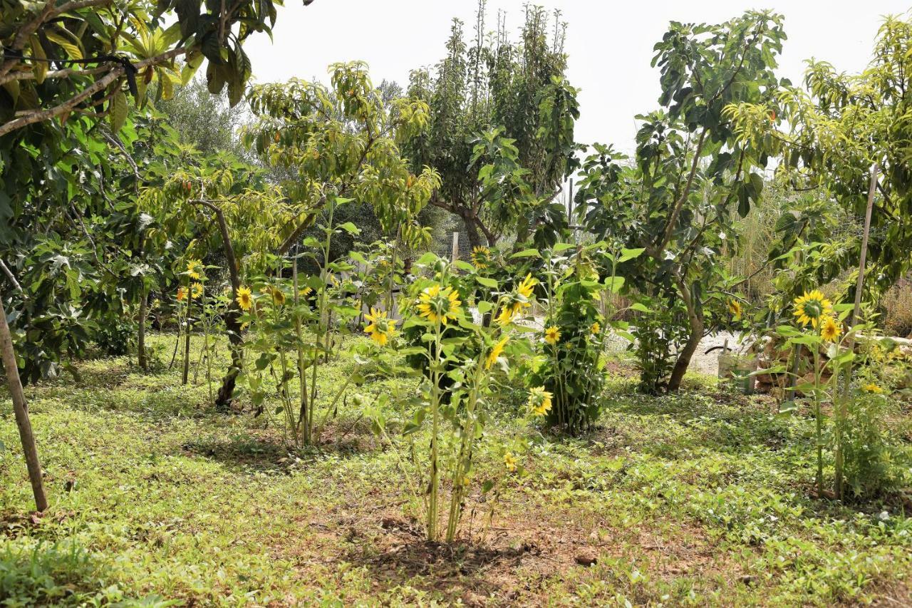Casa Le Gebbie *