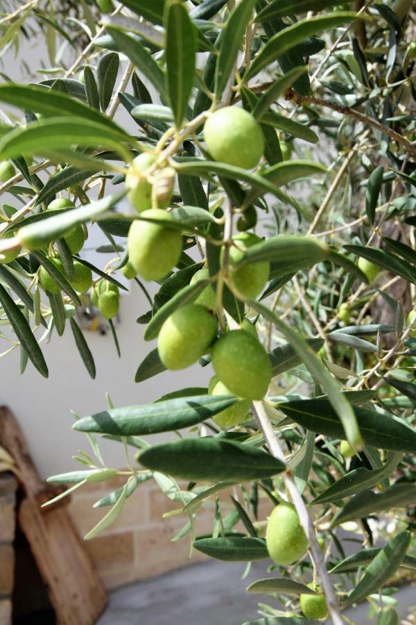 Casa Le Gebbie * Marzamemi